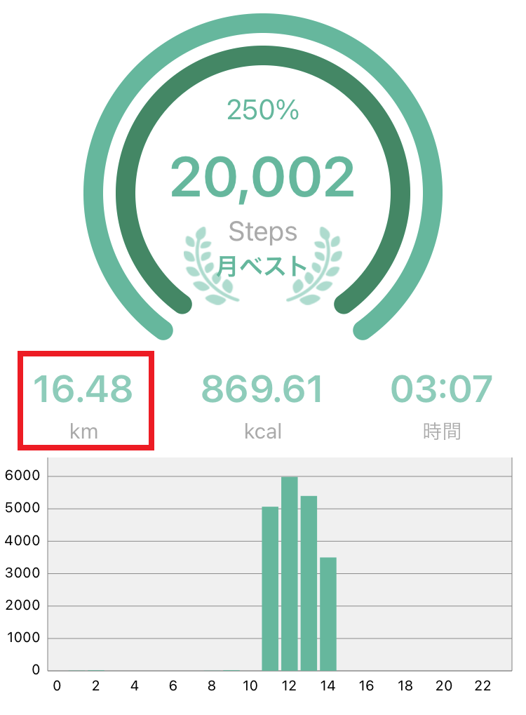 ２万歩歩いた距離を示すアプリ画面