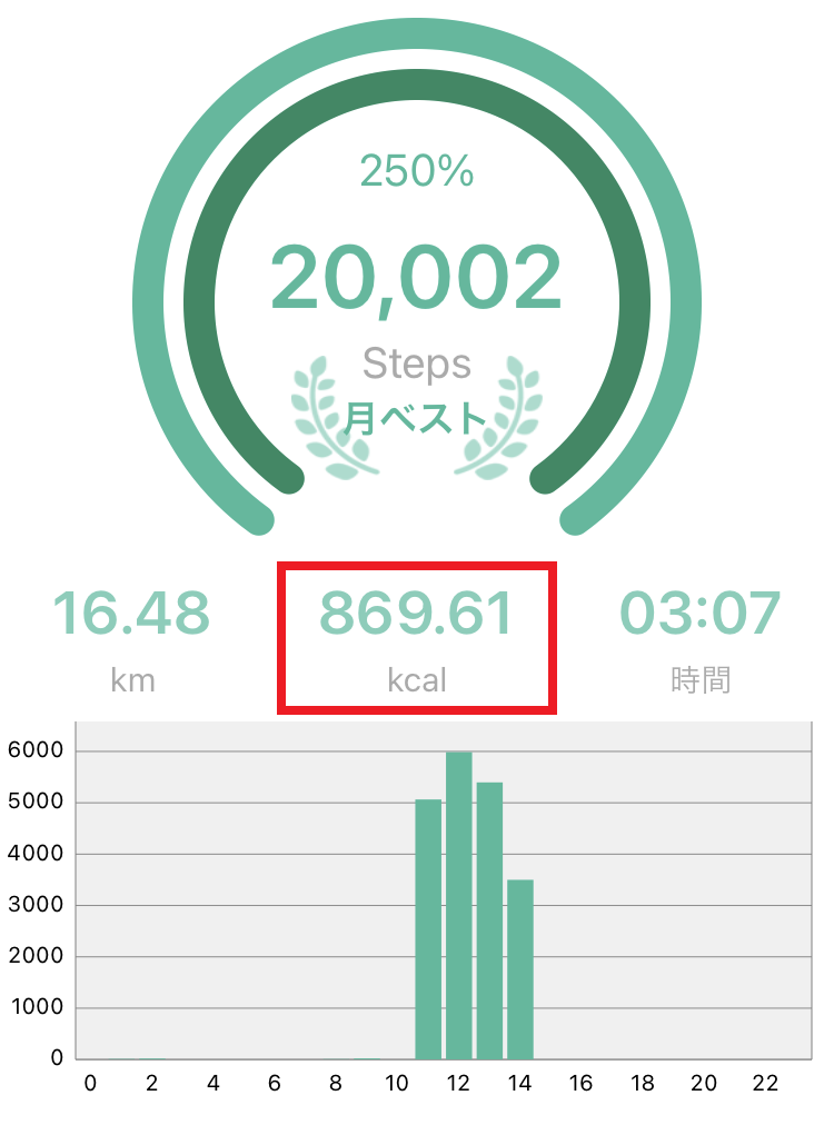 ２万歩歩いた消費カロリーを示すアプリ画面