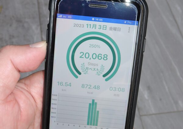 スタンスミスを履いて３時間ウォーキングした筆者のスマホアプリ