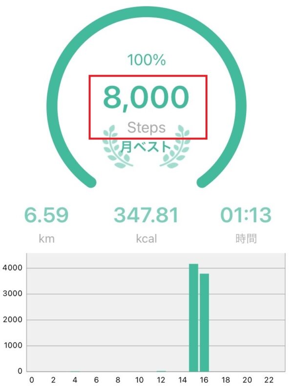 8000歩ウォーキングした筆者のデータ
