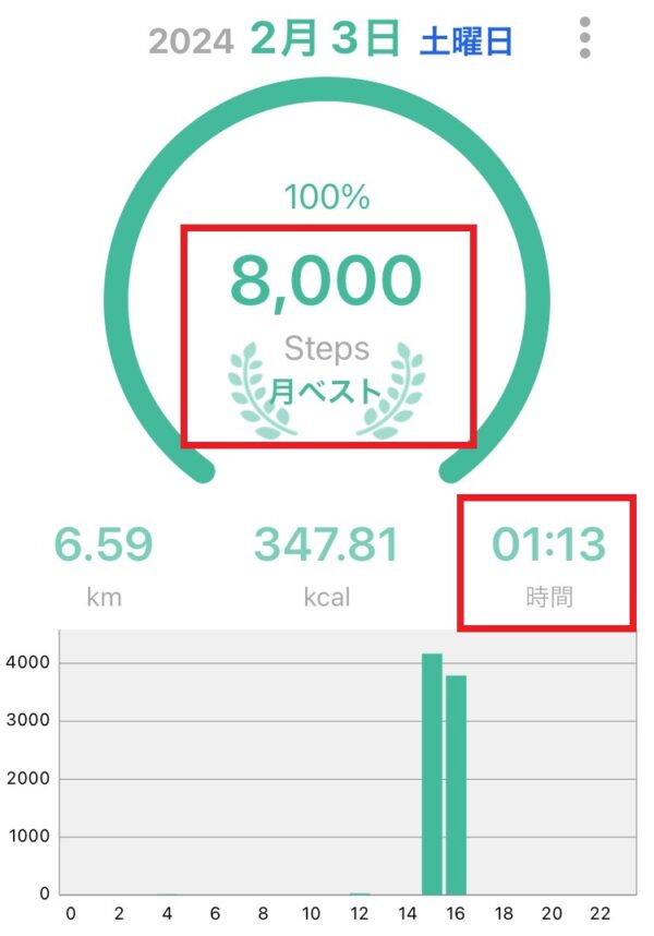 筆者が8000歩ウォーキングしたデータ