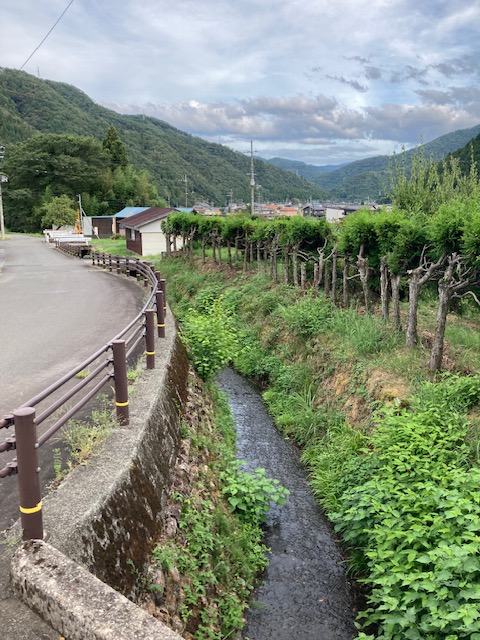 単調な田舎の風景