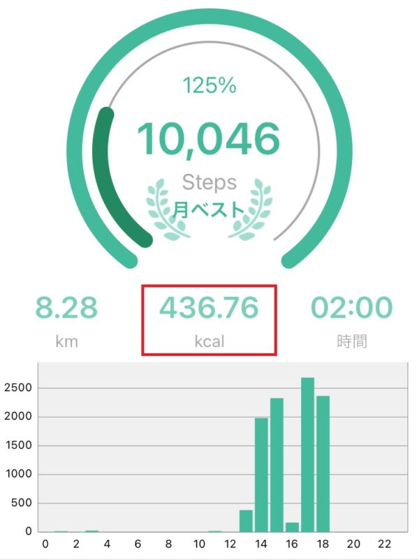 筆者がウォーキングしたデータ